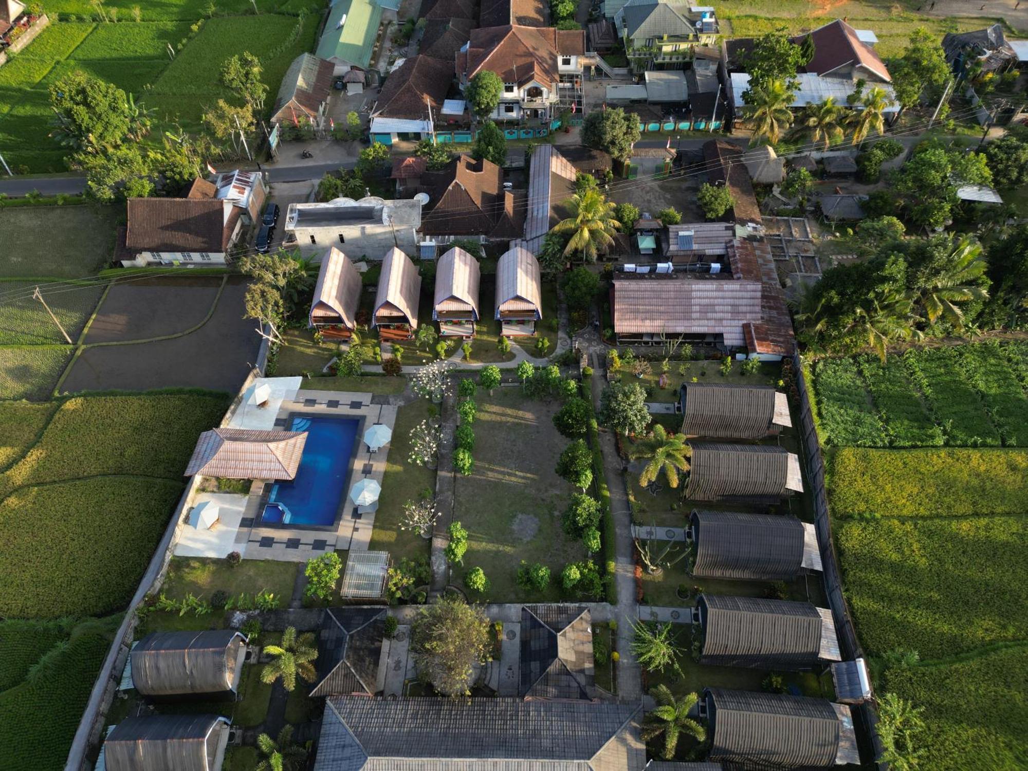 Green Orry Inn Tetebatu Zewnętrze zdjęcie
