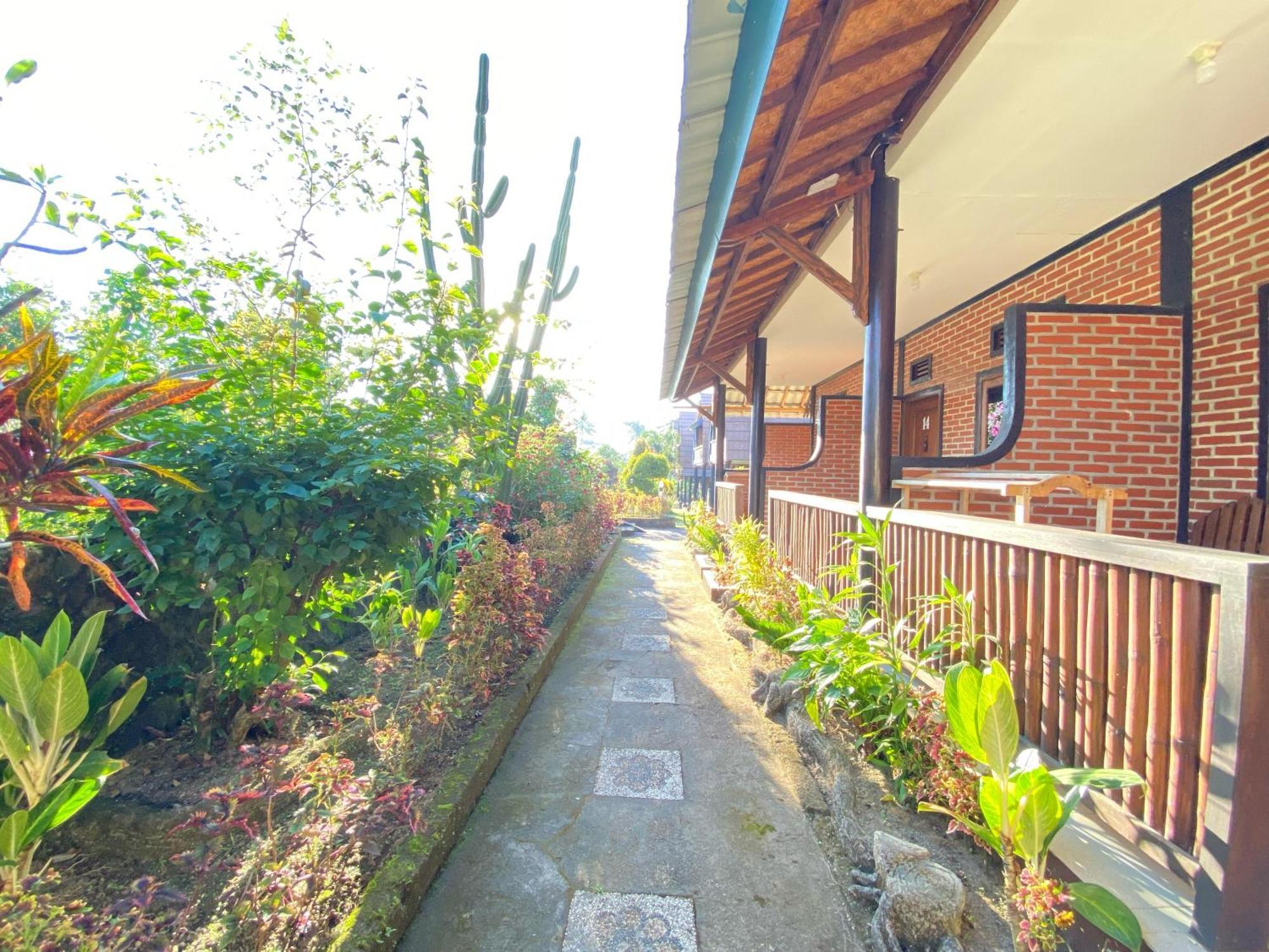 Green Orry Inn Tetebatu Zewnętrze zdjęcie